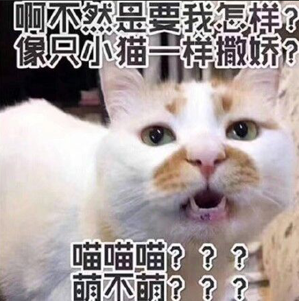 所以说企业网站优化找外包要擦亮眼睛