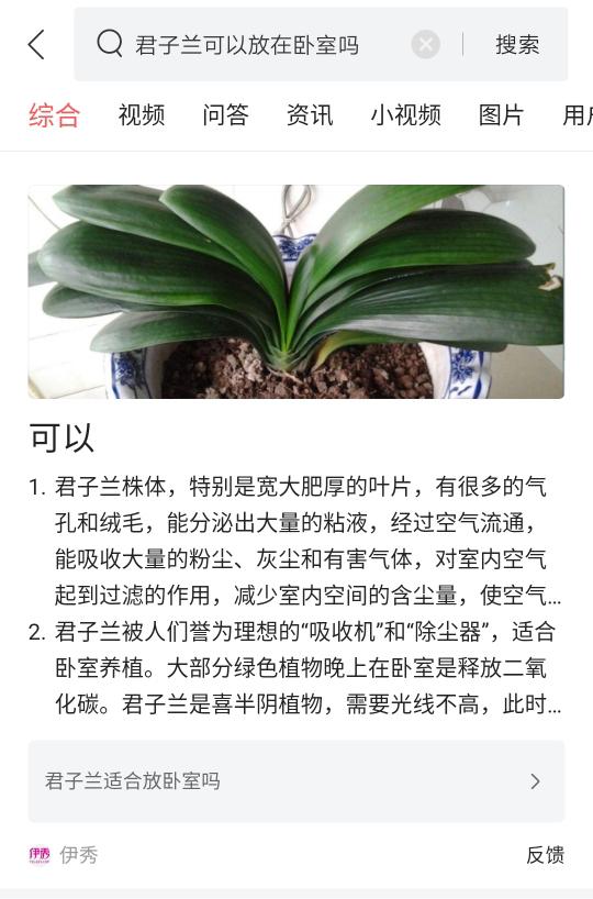 线上图文样式示例